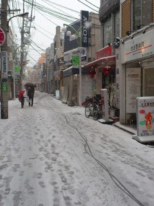 2014年2月8日雪