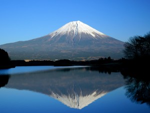 fuji167