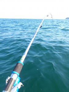 釣り