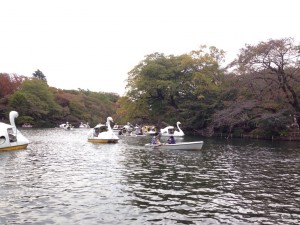 image14