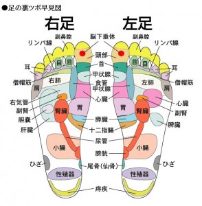 そくてい